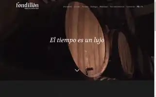 Fondillon.org Screenshot 2024-07-02 00:03:18