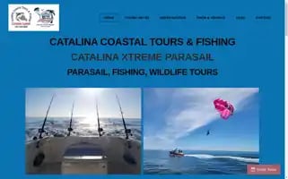 Catalinacoastaltours.com Screenshot 2024-04-19 11:19:03
