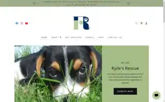 Ryliesrescue.org Screenshot 2024-07-01 11:30:52
