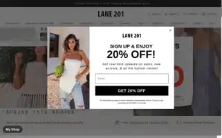 Lane201.com Screenshot 2024-05-04 03:45:06