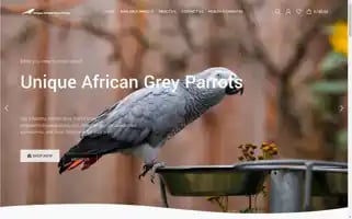 Uniqueafricangreyparrots.com Screenshot 2024-05-26 11:07:07