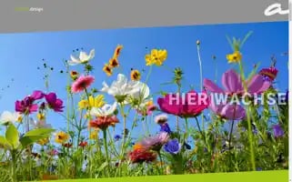 Alscher.design Screenshot 2024-07-04 13:33:04