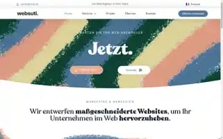 Websuti.ch Screenshot 2024-06-15 20:14:46