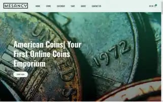 Americancoins24.shop Screenshot 2024-06-27 18:59:14