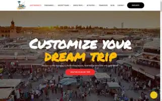 Perfecttravelexcursions.com Screenshot 2024-04-18 10:22:41