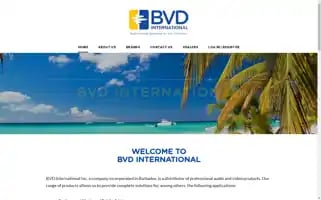 Bvd-int.com Screenshot 2024-07-04 17:22:37