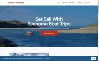Seahorseboattrips.co.uk Screenshot 2024-04-16 04:05:03