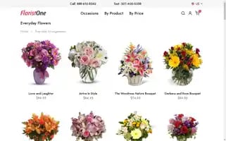 Floristone.com Screenshot 2024-06-13 16:21:07