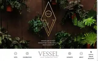 Vesselbrooklyn.com Screenshot 2024-05-05 19:28:49