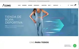 Ginsshop.com Screenshot 2024-05-22 22:18:05