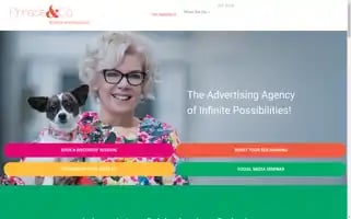 Pinnacleandco.nz Screenshot 2024-06-28 05:53:54