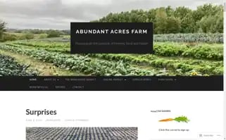 Abundant-acres.com Screenshot 2024-06-27 00:28:34