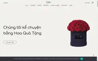 Hoanhabethie.com Screenshot 2024-05-20 21:16:09