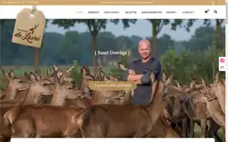 Delavei.nl Screenshot 2024-06-18 04:47:59