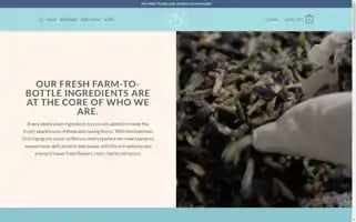 Ybpskin.com Screenshot 2024-05-21 15:03:41