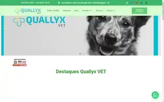 Quallyxvet.com.br Screenshot 2024-05-21 22:10:17