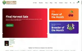 Seedsherenow.com Screenshot 2024-05-13 20:54:57