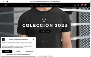 The-v-company.com Screenshot 2024-05-23 22:44:50