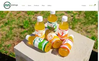 Nelsonnholdings.com Screenshot 2024-05-28 09:54:58