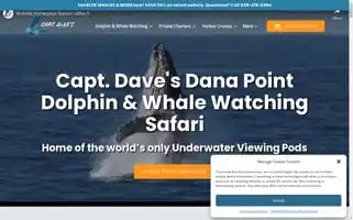 Dolphinsafari.com Screenshot 2024-05-09 11:13:05