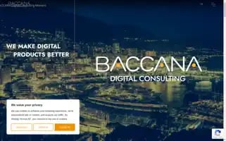 Baccanagroup.com Screenshot 2024-06-29 13:59:56