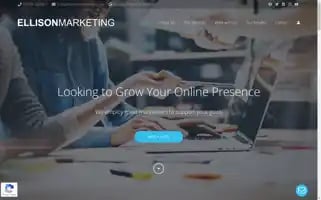 Ellisonmarketing.co.uk Screenshot 2024-07-02 19:47:05