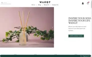 Wangyscent.com Screenshot 2024-05-26 05:00:20