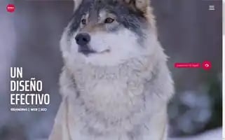 Zonagrafica.com Screenshot 2024-07-07 19:16:52