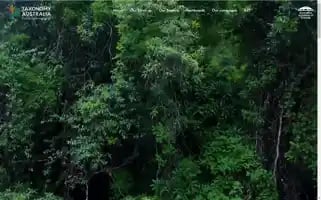 Taxonomyaustralia.org.au Screenshot 2024-07-04 17:25:39