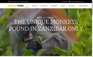 Kendwatoursandsafaries.com Screenshot 2024-04-26 20:37:15