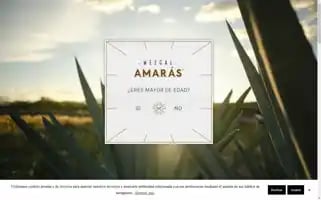 Mezcalamaras.com Screenshot 2024-06-13 23:33:27