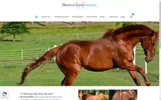 Balancedequine.com.au Screenshot 2024-06-12 04:53:10