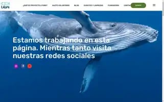 Proyectolitore.com Screenshot 2024-05-26 20:39:14