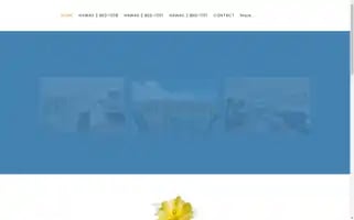 Alohavacationcondos.com Screenshot 2024-04-27 04:23:07