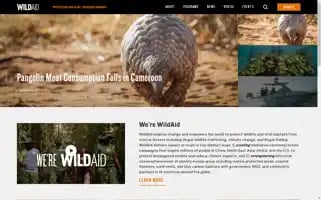 Wildaid.org Screenshot 2024-06-18 15:15:33