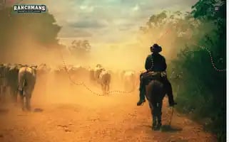 Ranchmansfarmandfeed.com Screenshot 2024-05-17 01:25:09