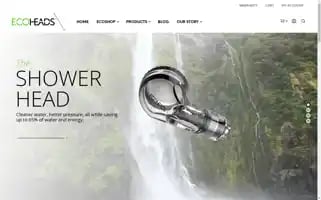 Ecoheads.com Screenshot 2024-06-30 21:12:08