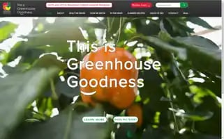Ogvg.com Screenshot 2024-07-04 01:58:24