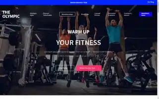 Theolympic.co.nz Screenshot 2024-06-11 20:44:08