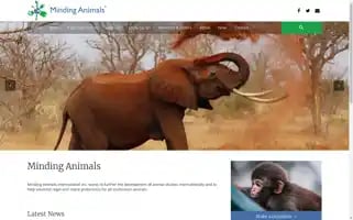 Mindinganimals.com Screenshot 2024-07-08 20:44:14