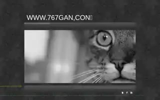 Hyyshi1.top Screenshot 2024-07-09 01:49:57