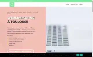 Webmarketing-toulouse.fr Screenshot 2024-06-17 00:39:18