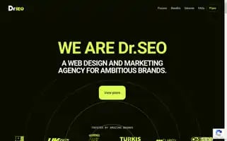 Drseo.co.uk Screenshot 2024-06-27 08:08:19