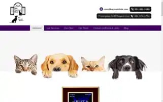 Katyvetclinic.com Screenshot 2024-05-16 04:06:35