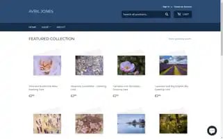 Avriljones.co.uk Screenshot 2024-05-06 00:43:51