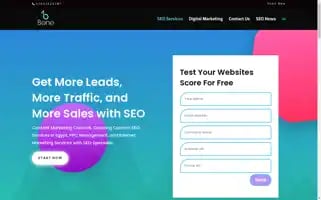 Seoagency.services Screenshot 2024-06-16 01:06:54