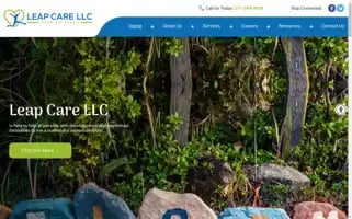 Leapcarellc.com Screenshot 2024-07-05 04:42:35