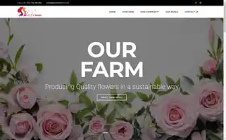 Simbiroses.com Screenshot 2024-07-03 16:37:06