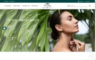 Predige.com Screenshot 2024-06-15 12:03:54