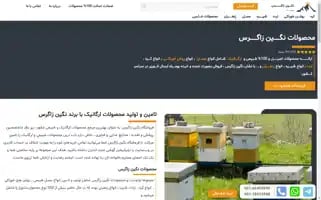 Neginezagros.com Screenshot 2024-06-29 04:26:45